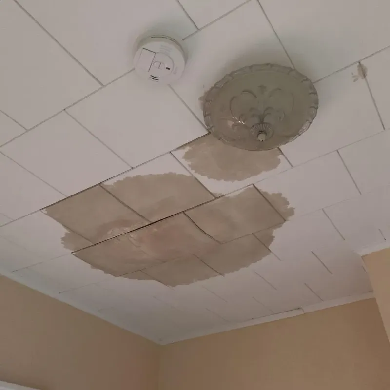 Ceiling Water Damage Repair in Charlemont, MA