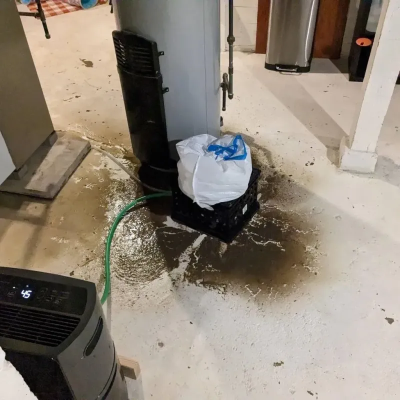 Sewage Backup Cleanup Service in Charlemont, MA